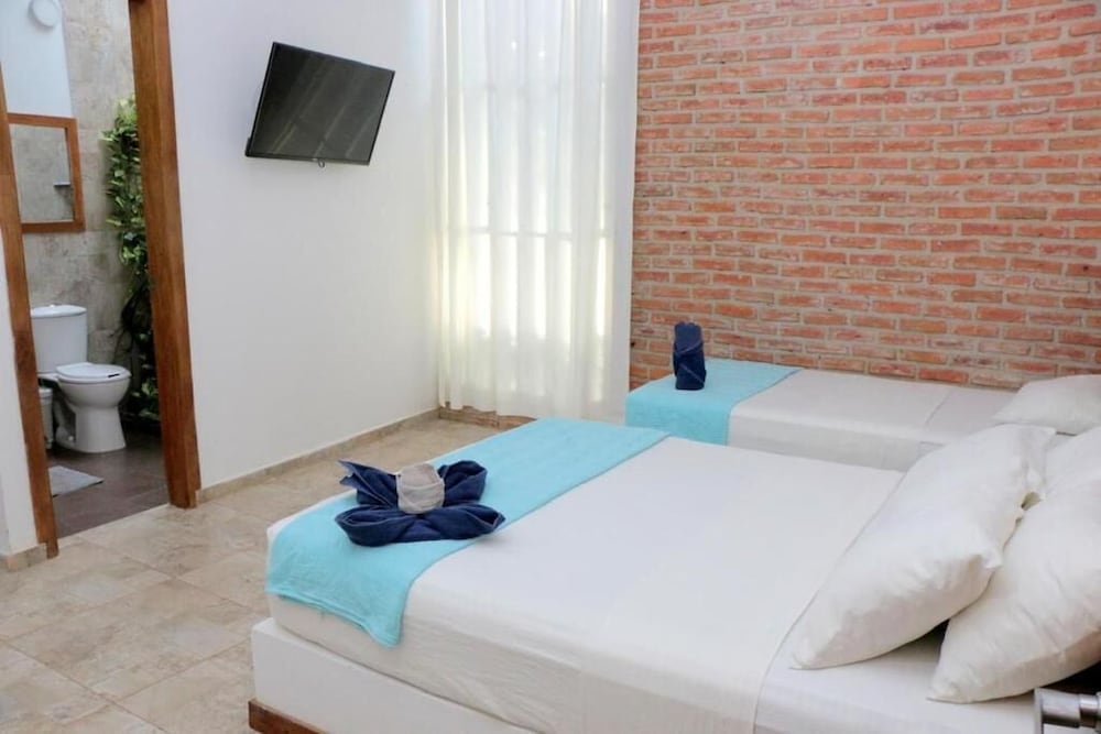 Palmas del Rio 6/50