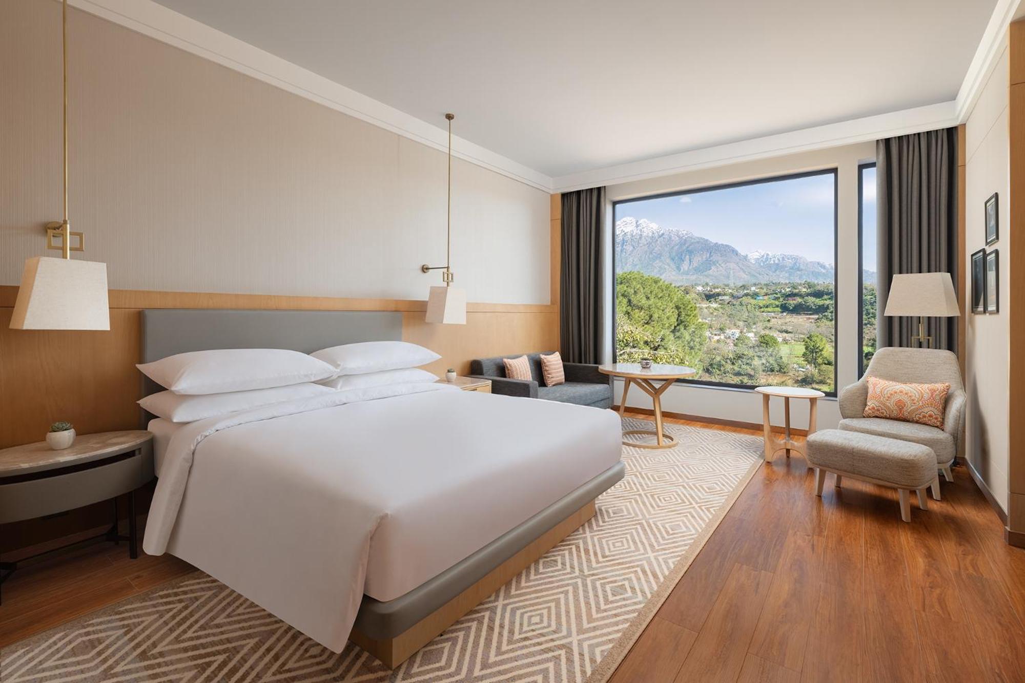 Guest Room, Deluxe, King Bed, Statue View