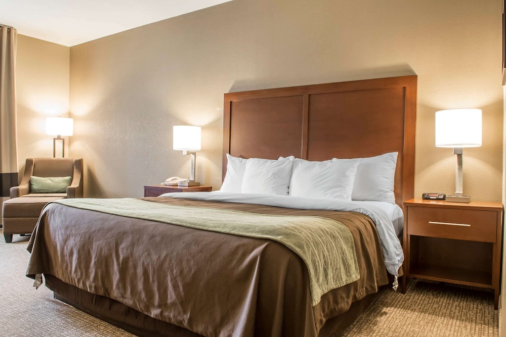 Comfort Inn Edinburg South Texas 12/46