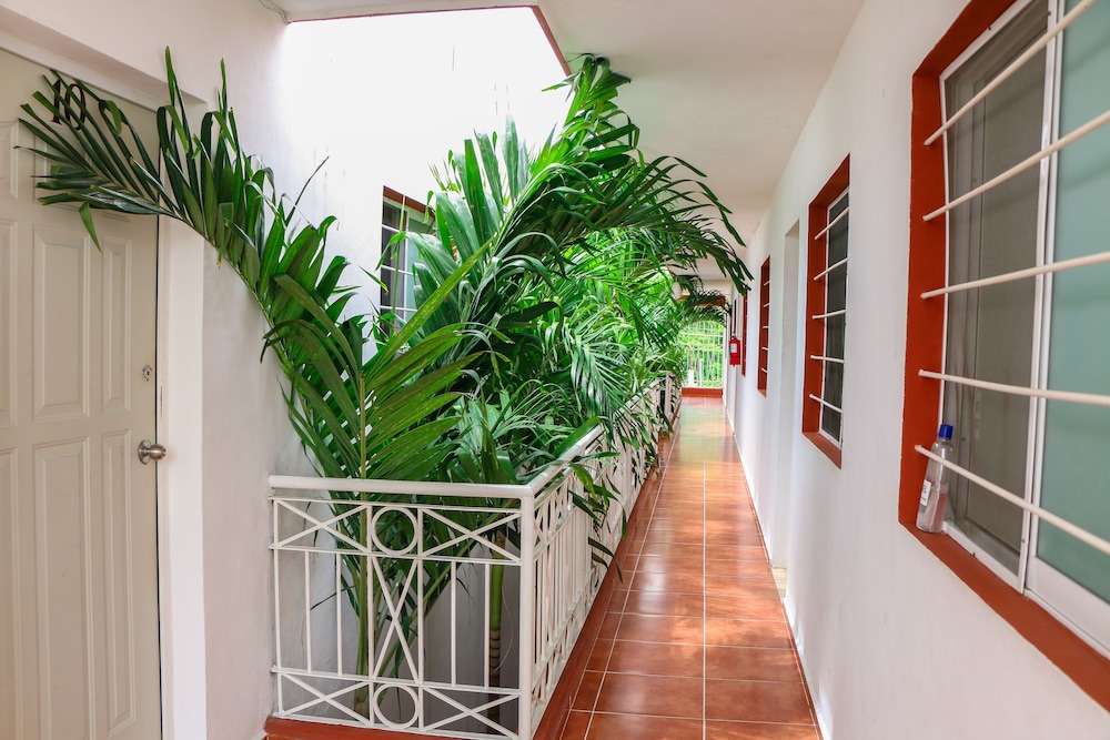 Gayser Apartamentos 2/39