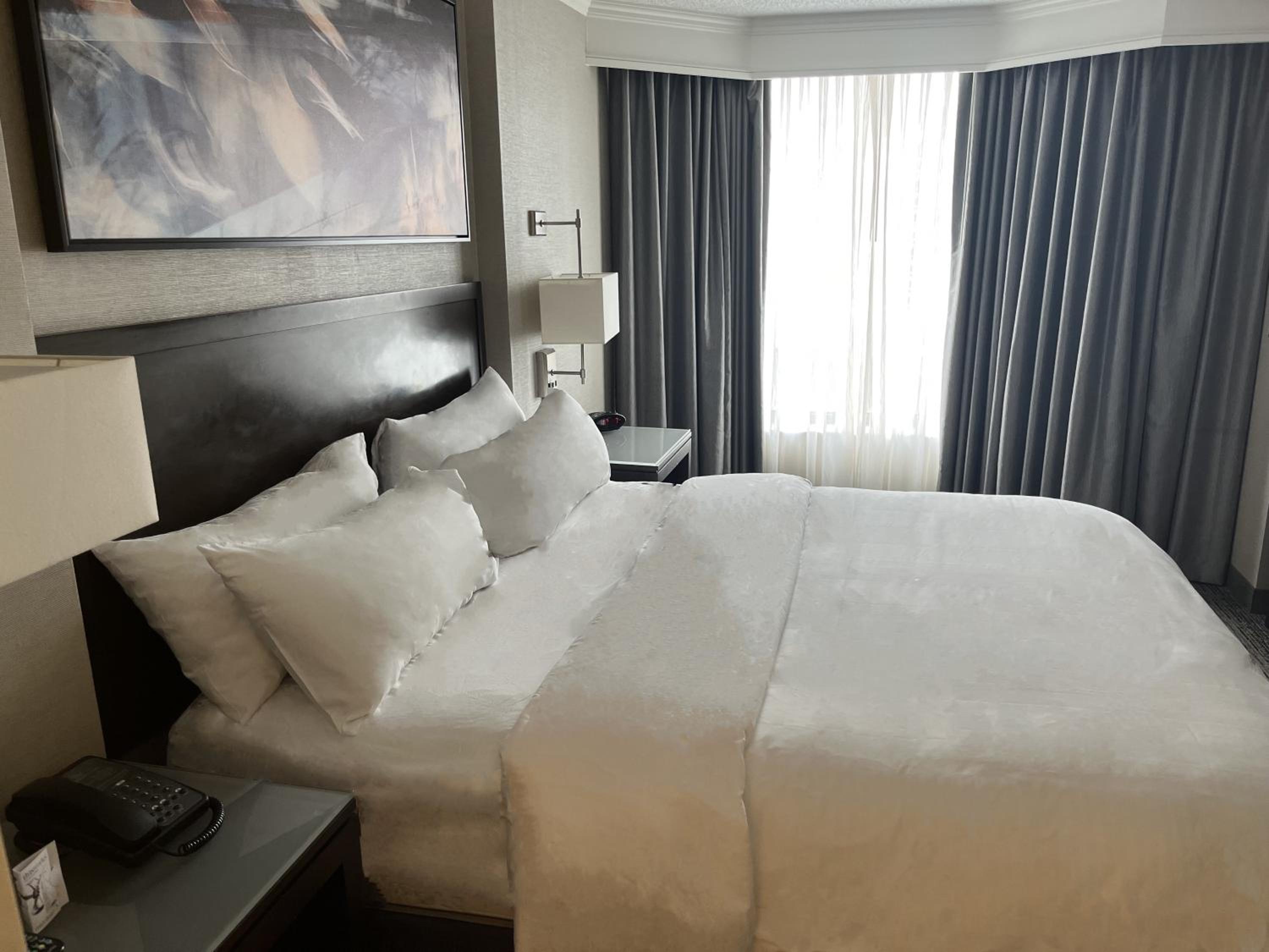 Room at Marriott Suites Chicago O'hare, ROSEMONT - IL