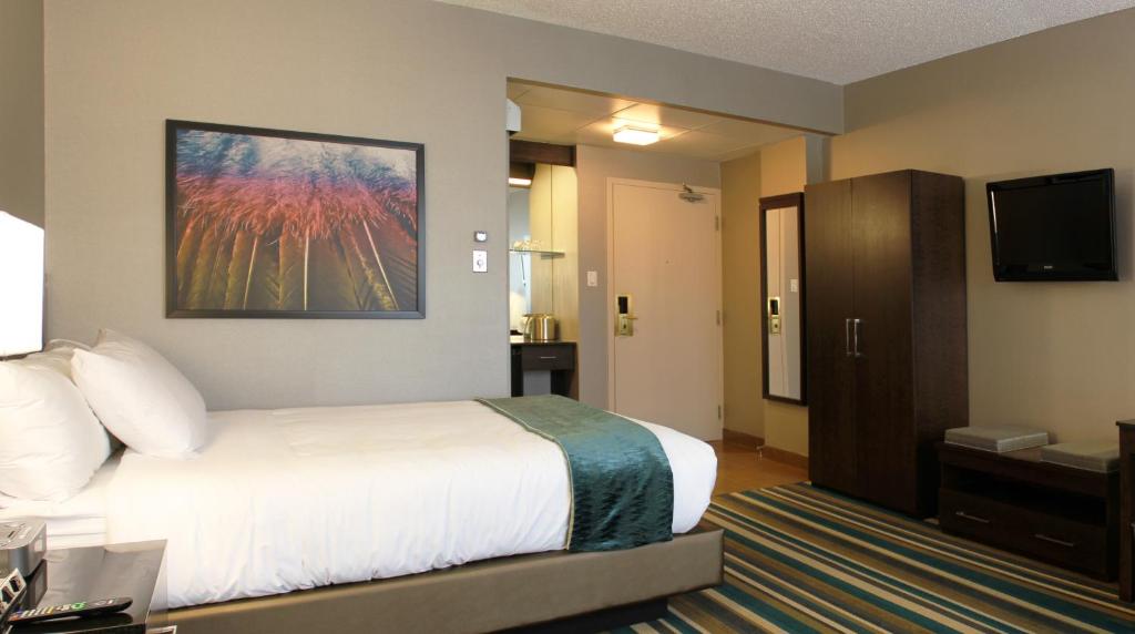 غرفة بسرير كوين، Hotel Blackfoot 3/6