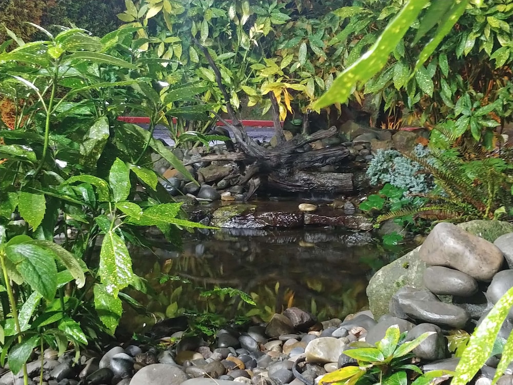 surroundings