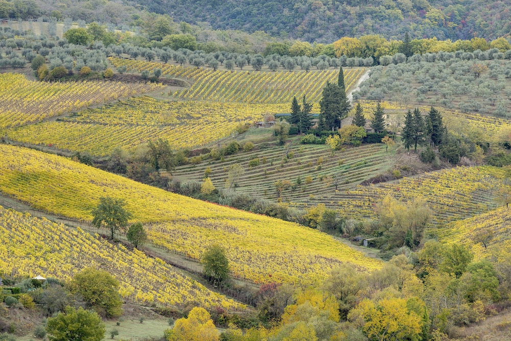 Terre Di Baccio 44/45