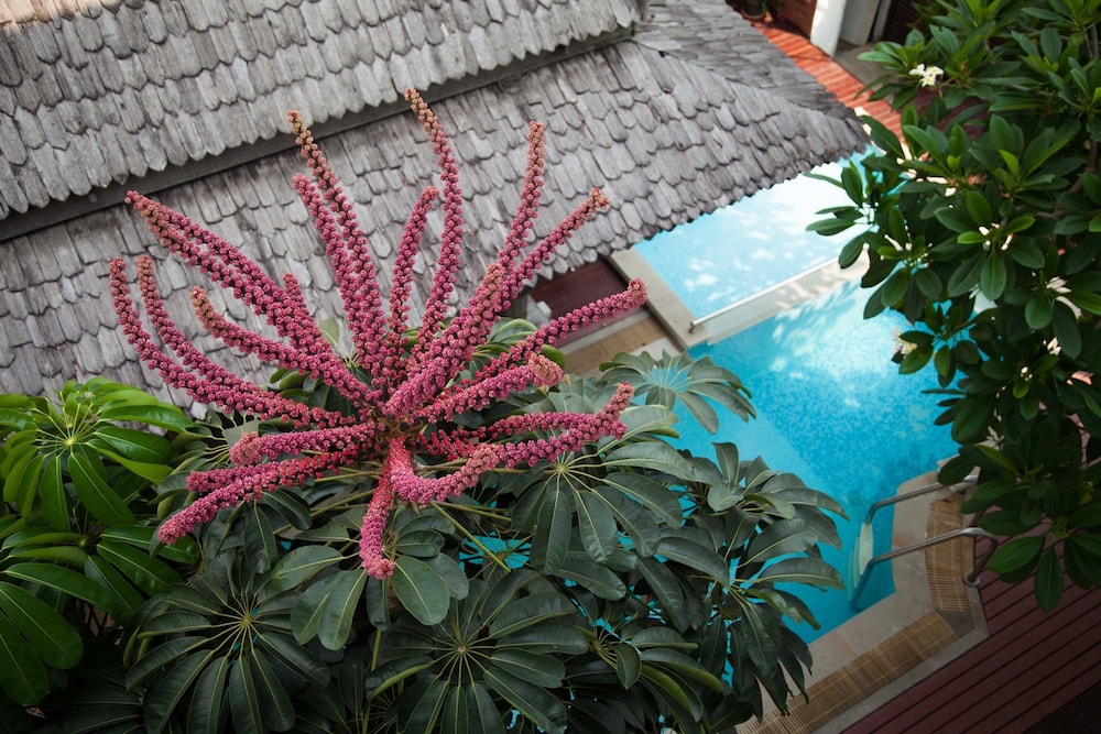 Charlie House Pinklao 62/66