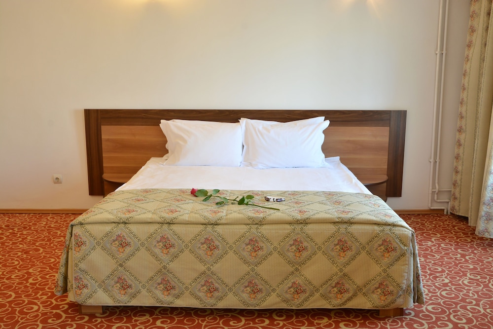 Hotel Central Ploiesti 13/69
