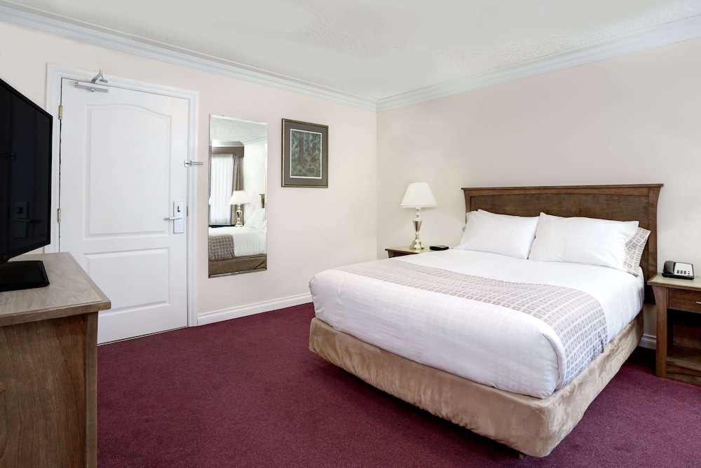 Elk Lake Inn Suites Victoria 13/81