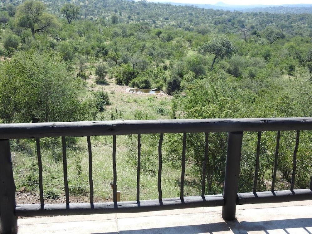 Balule Bushveld Safari Lodge 26/38