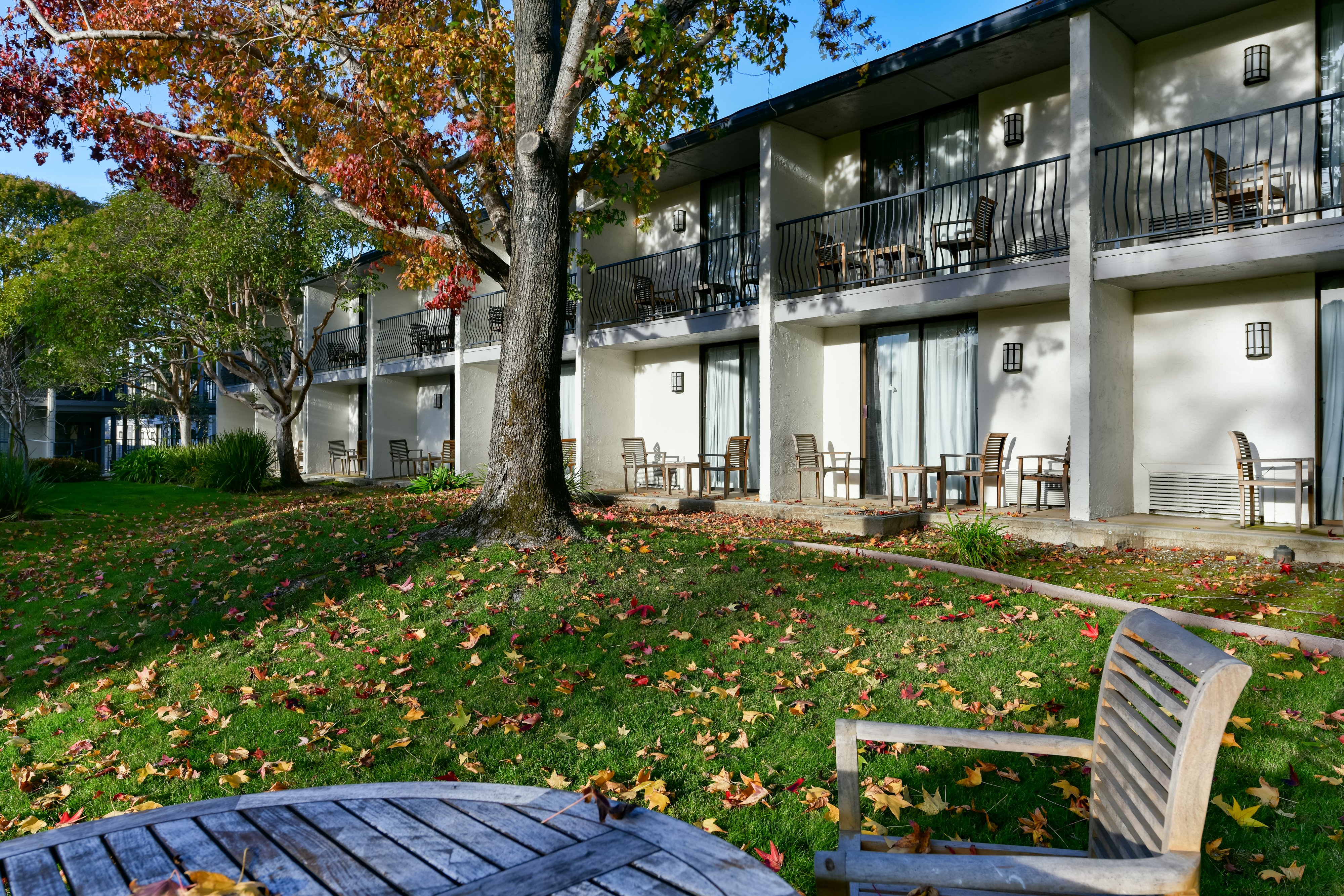 Holiday Inn Express Mill Valley San Francisco Area 91/92