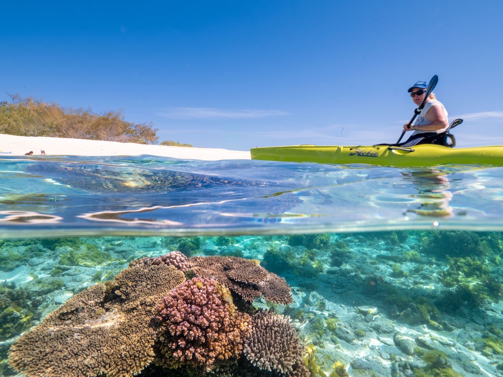 Wilson Island Resort 25/38