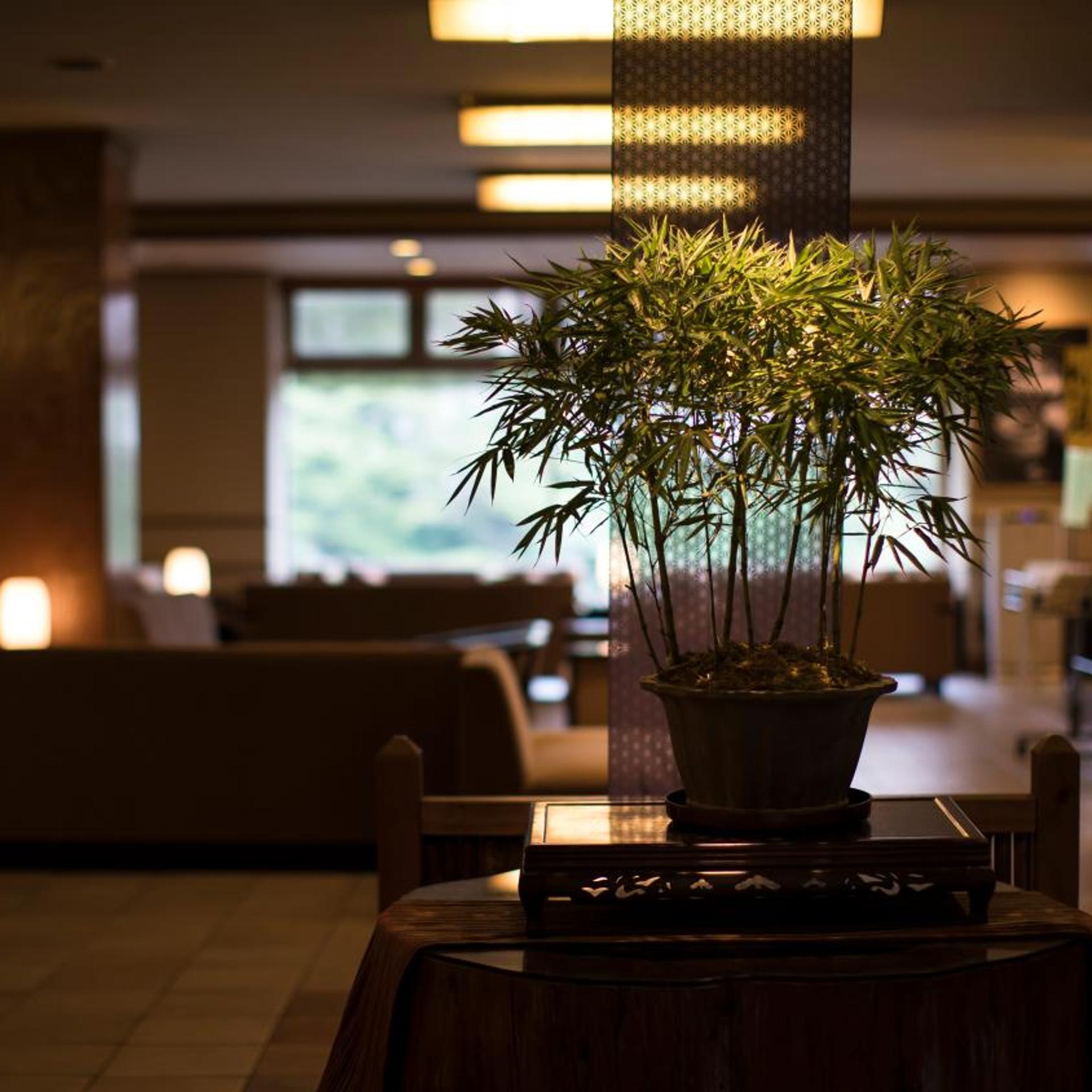 Kinugawa Onsen Hotel Shirakawa Yunokura 50/53