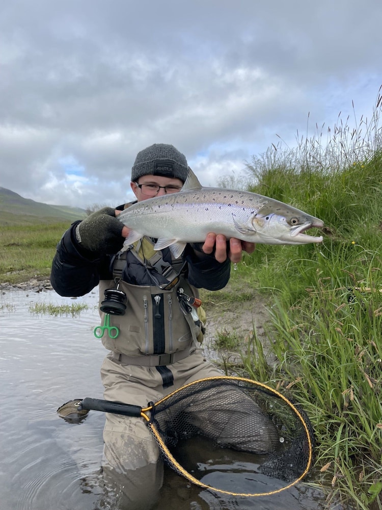 Hótel Hvítserkur 38/44