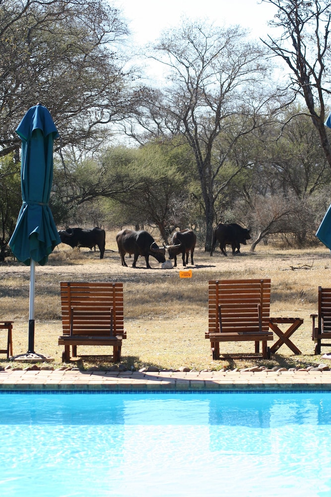 Mziki Safari Lodge 9/76