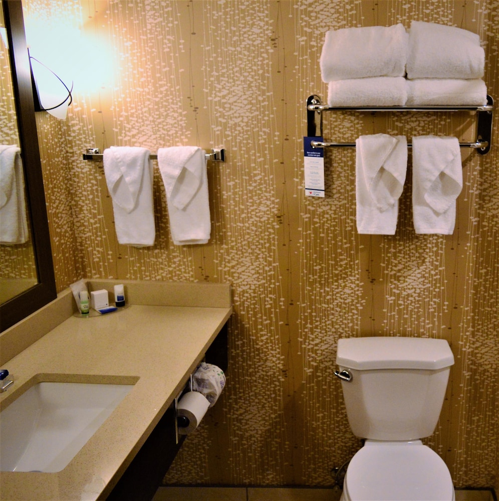 Best Western Plus Kindersley Hotel 15/40