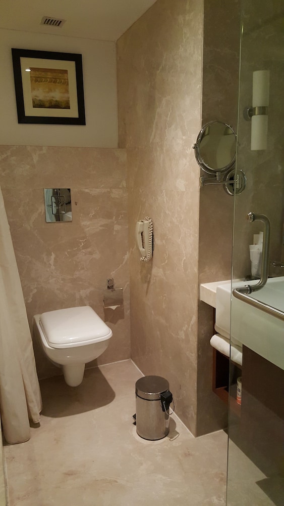 Royal Orchid Central Vadodara 46/50