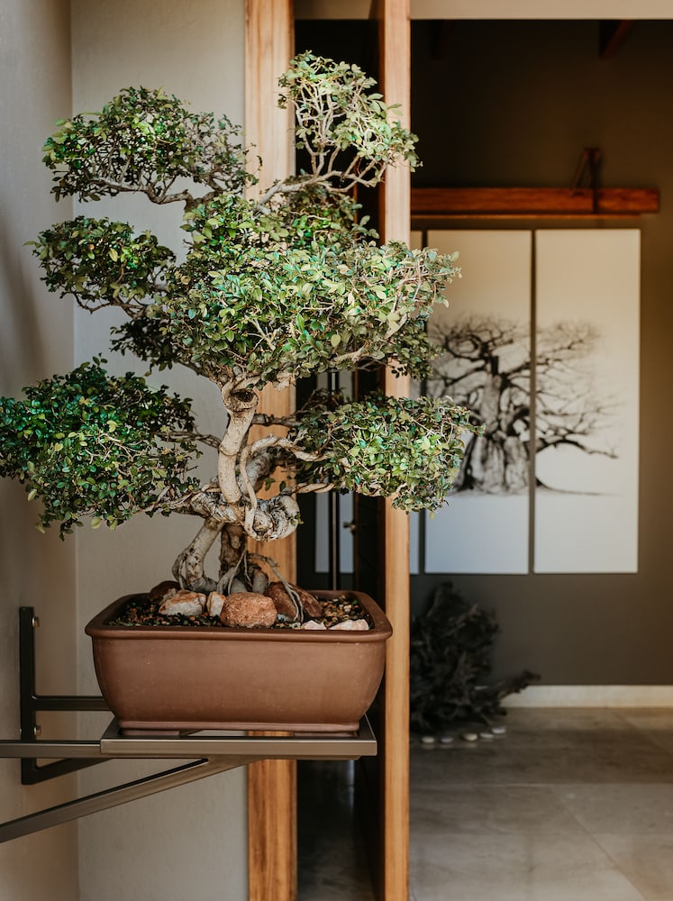 Umvangati House 34/50