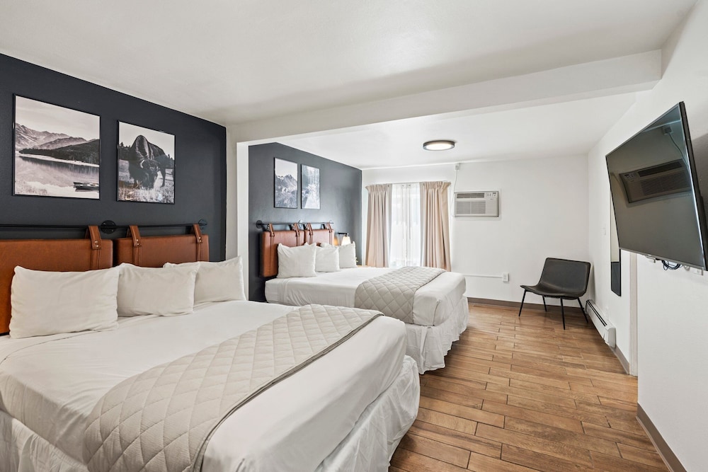 Room, Single, 2 Queen Beds