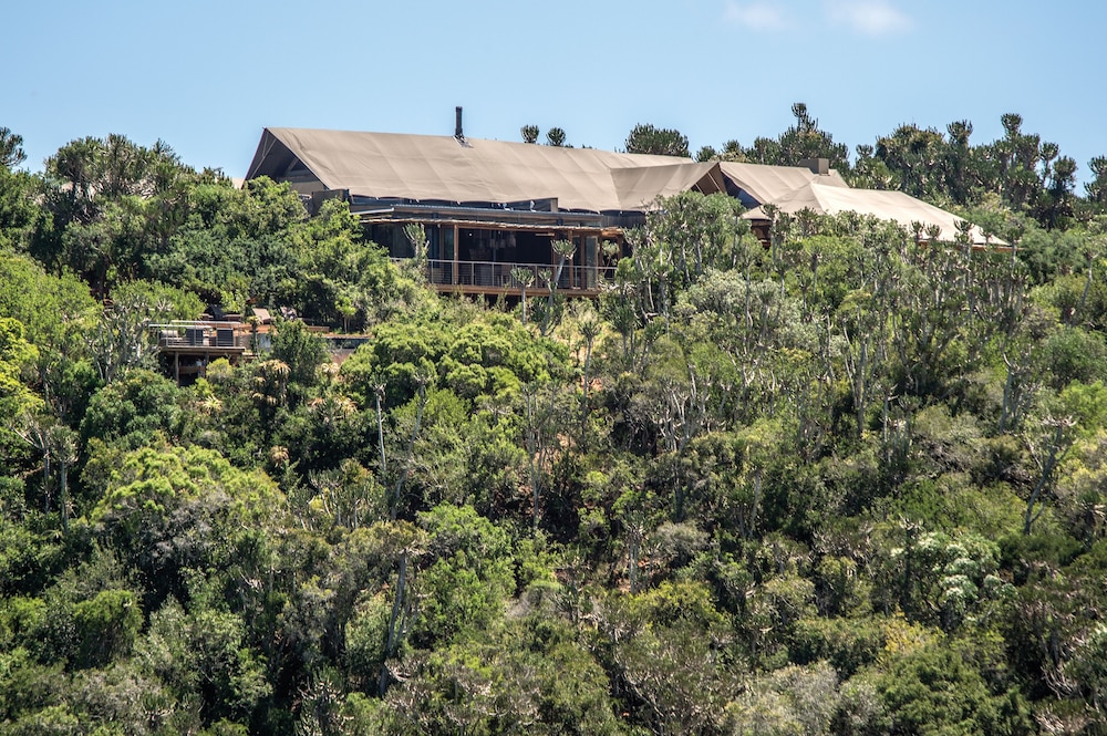 Kariega Game Reserve-Settlers Drift 36/45