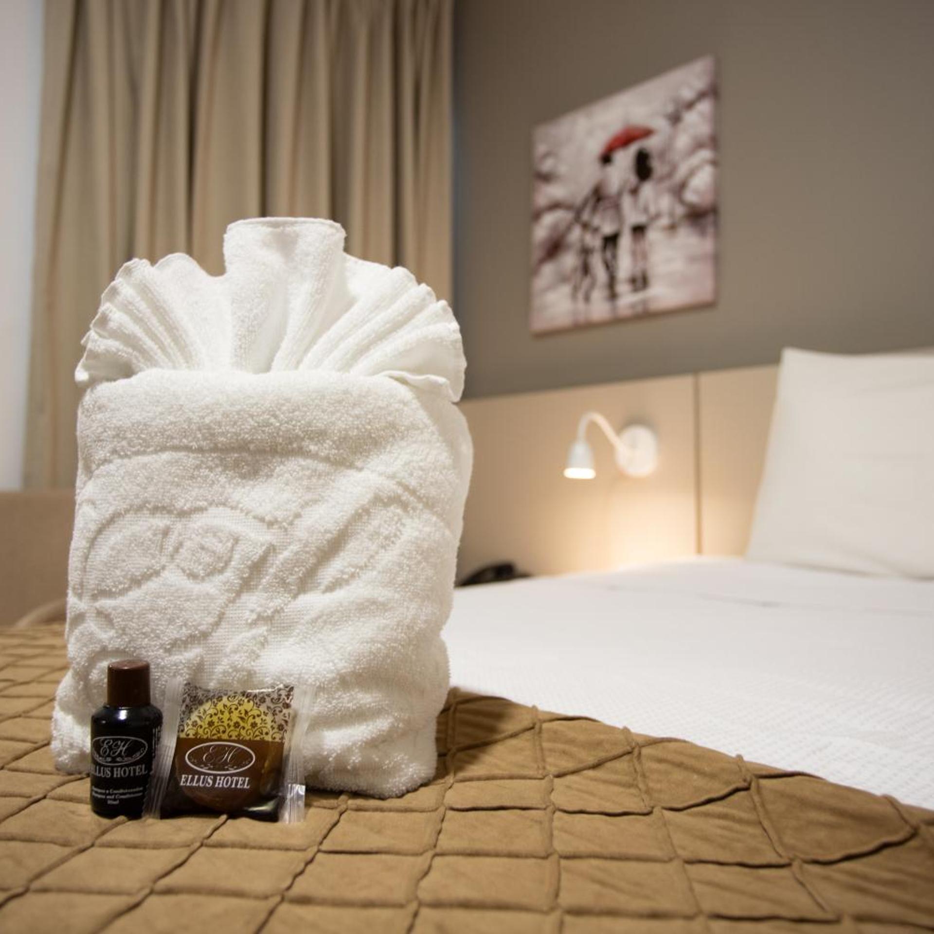 Ellus Hotel 21/50