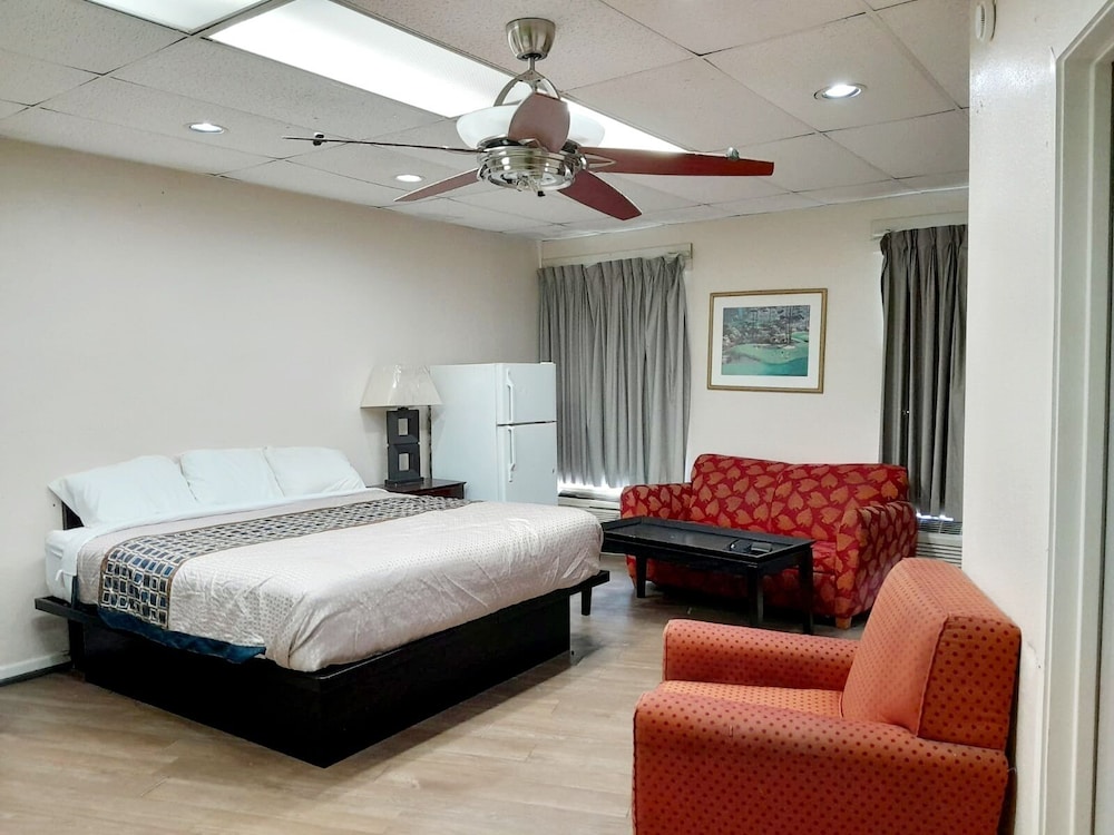 EXECUTIVE, STUDIO, SUITE
