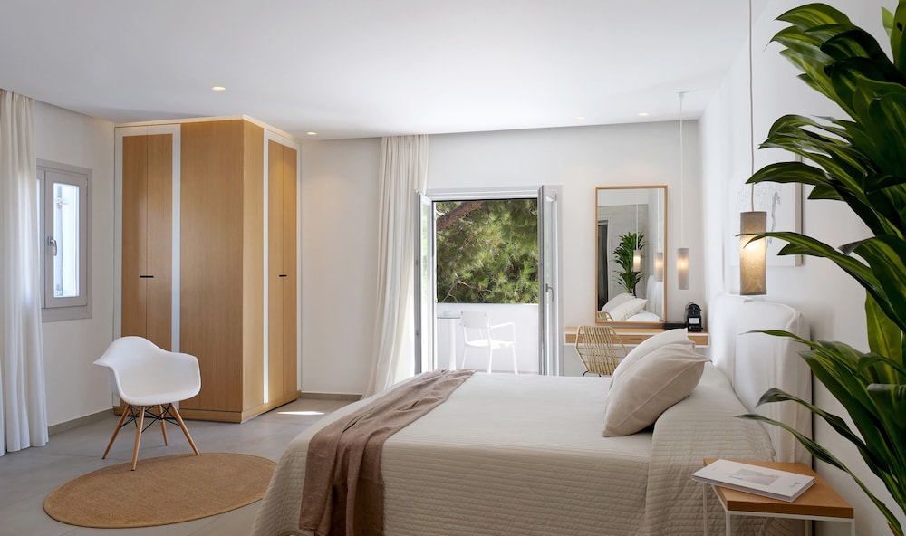 Andronikos Hotel - Adults Only 19/82