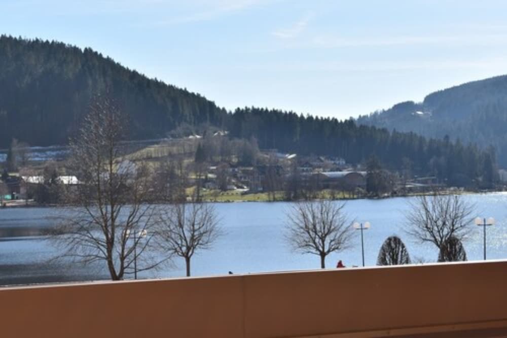 Logis Hotel Le Ptit Hotel Du Lac 30/30