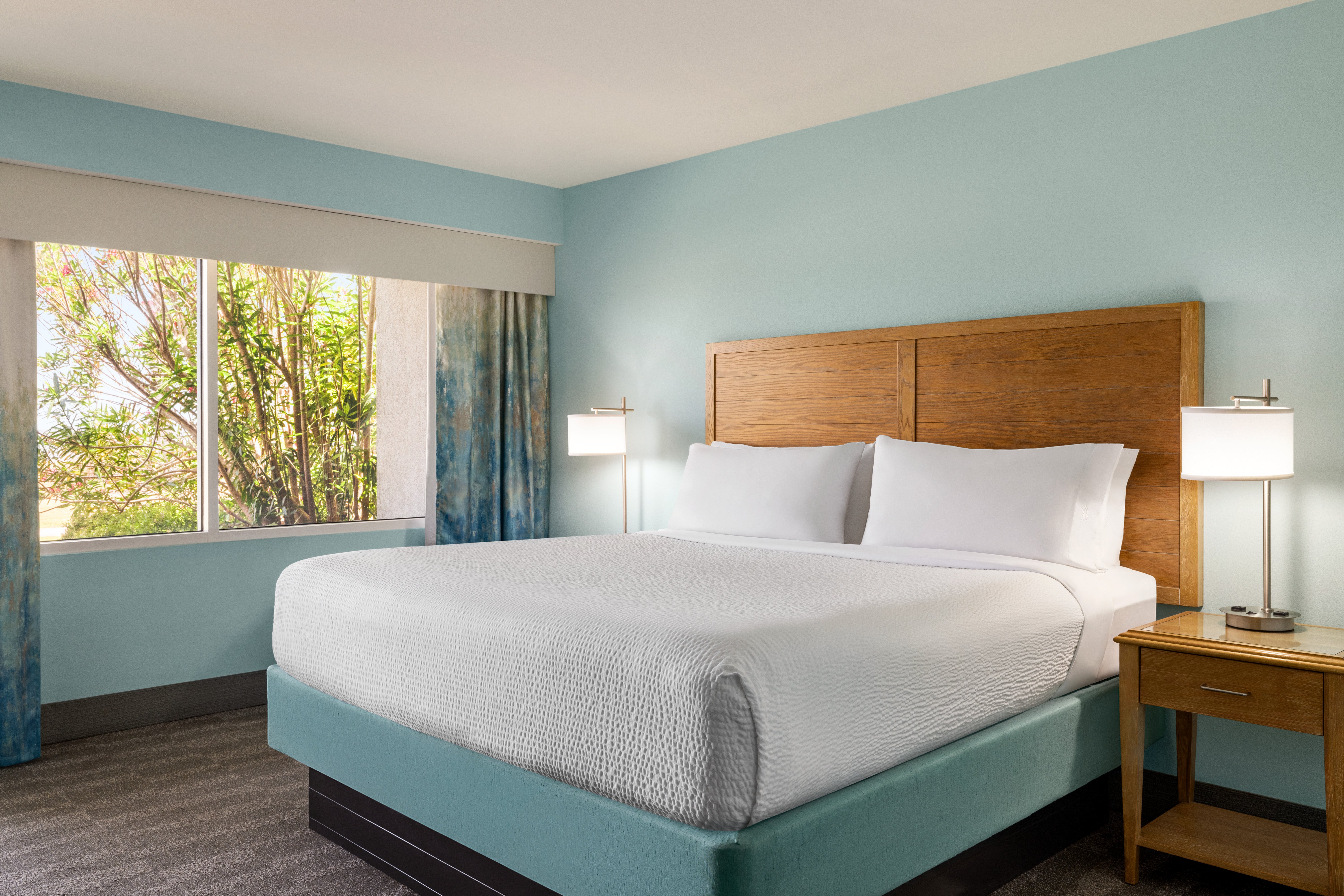 Standard, King Bed, Accessible