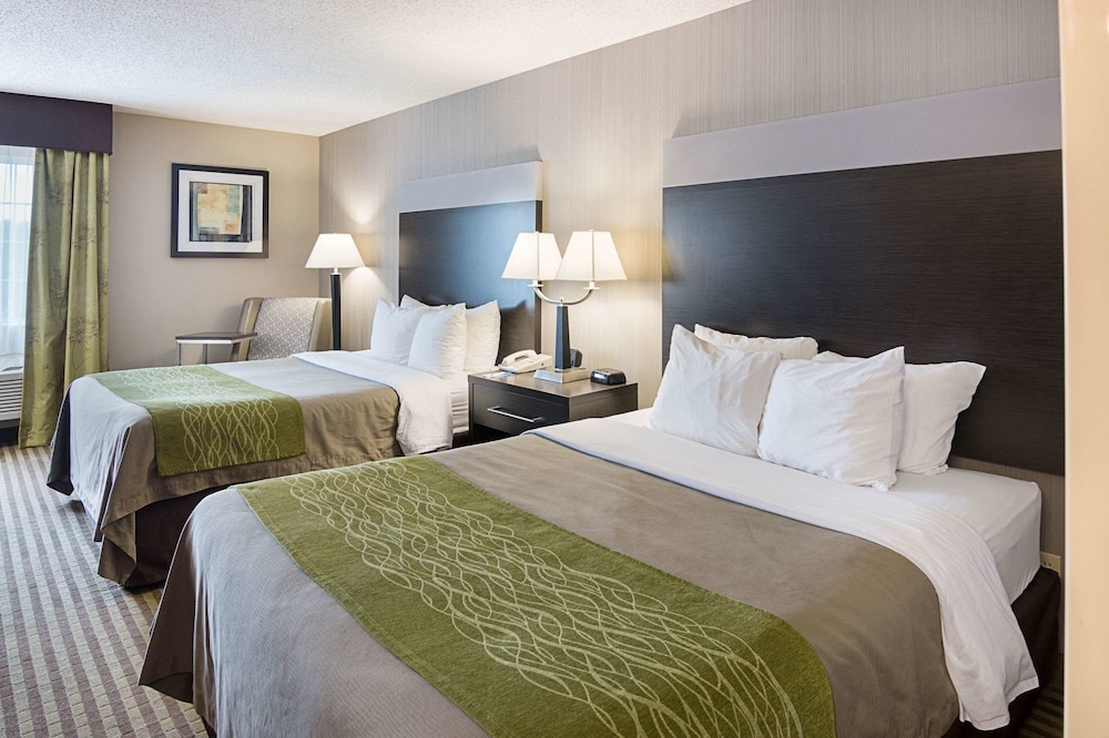 Comfort Inn Camden 13/44