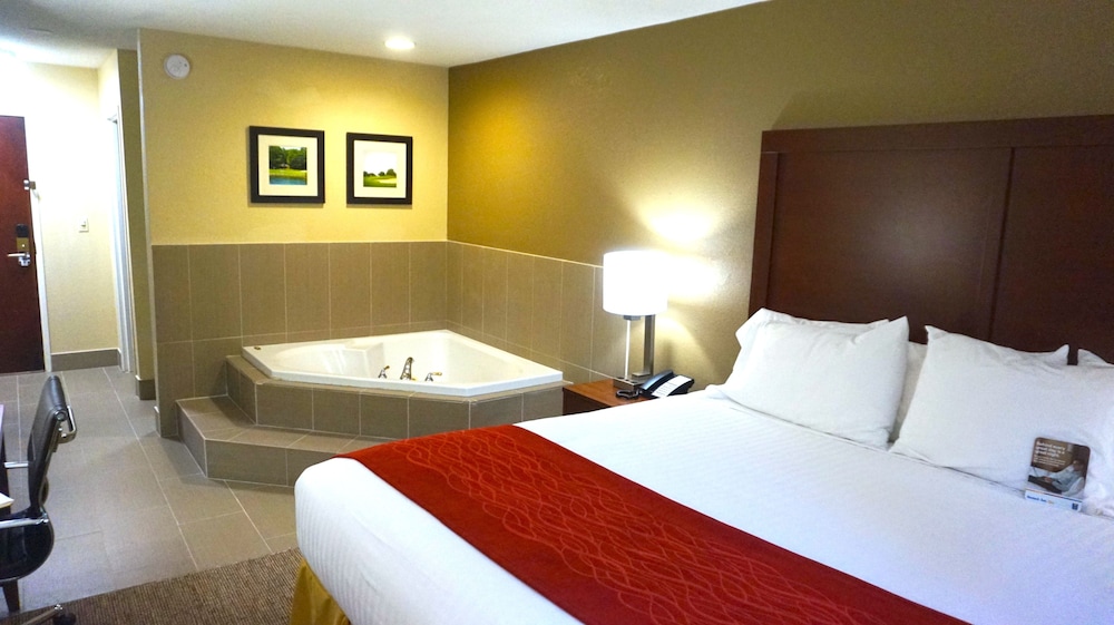 Comfort Inn & Suites Greenwood Near University 16/66
