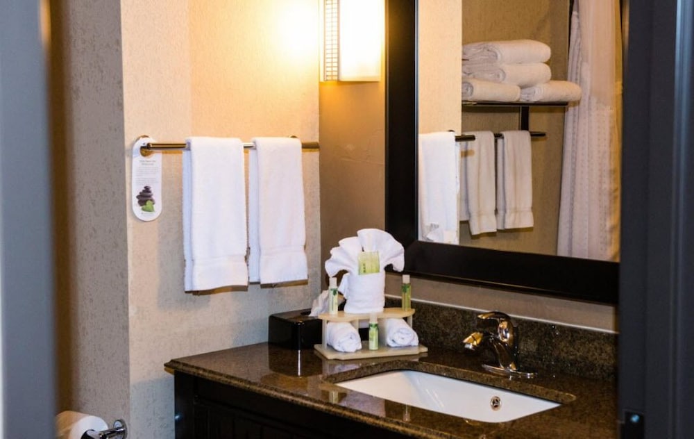 Holiday Inn Express Hotel And Suites Houston Nw Beltway 8 West Road 40/53