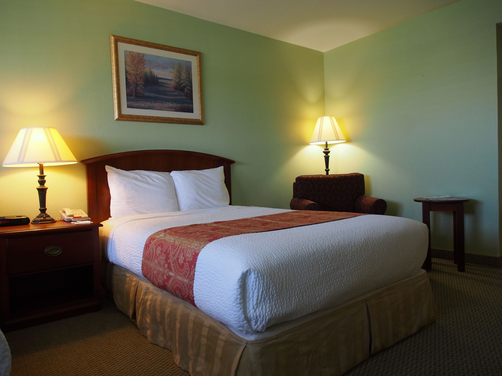 STANDARD, 2 DOUBLE BEDS, PET FRIENDLY