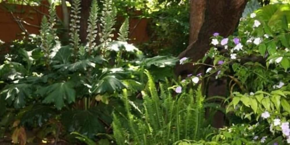 Breena Bnb Guest House 34/50