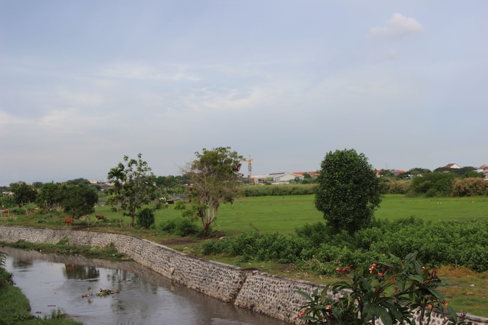Beji Ayu Homestay 51/55