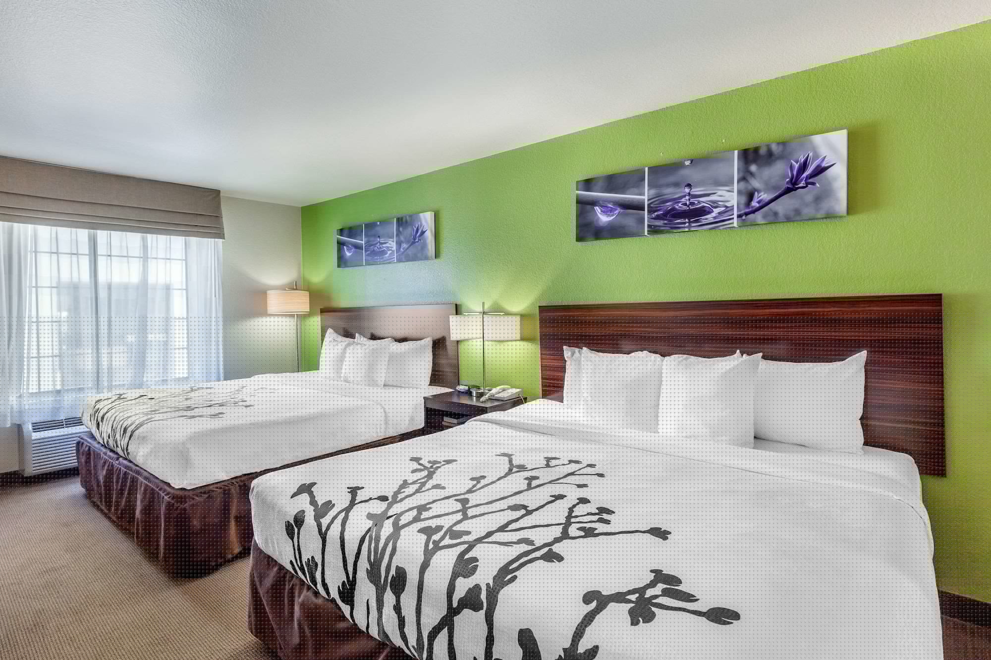غرفة قياسية بسريرين كينج، Sleep Inn & Suites Hewitt - South Waco 4/6