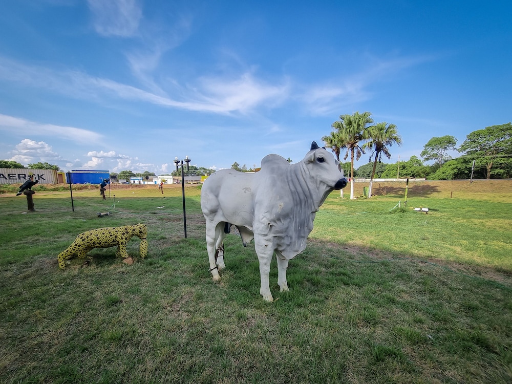 BANDEIRANTE PANTANAL HOTEL 43/48