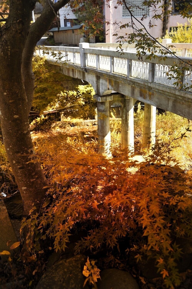 surroundings