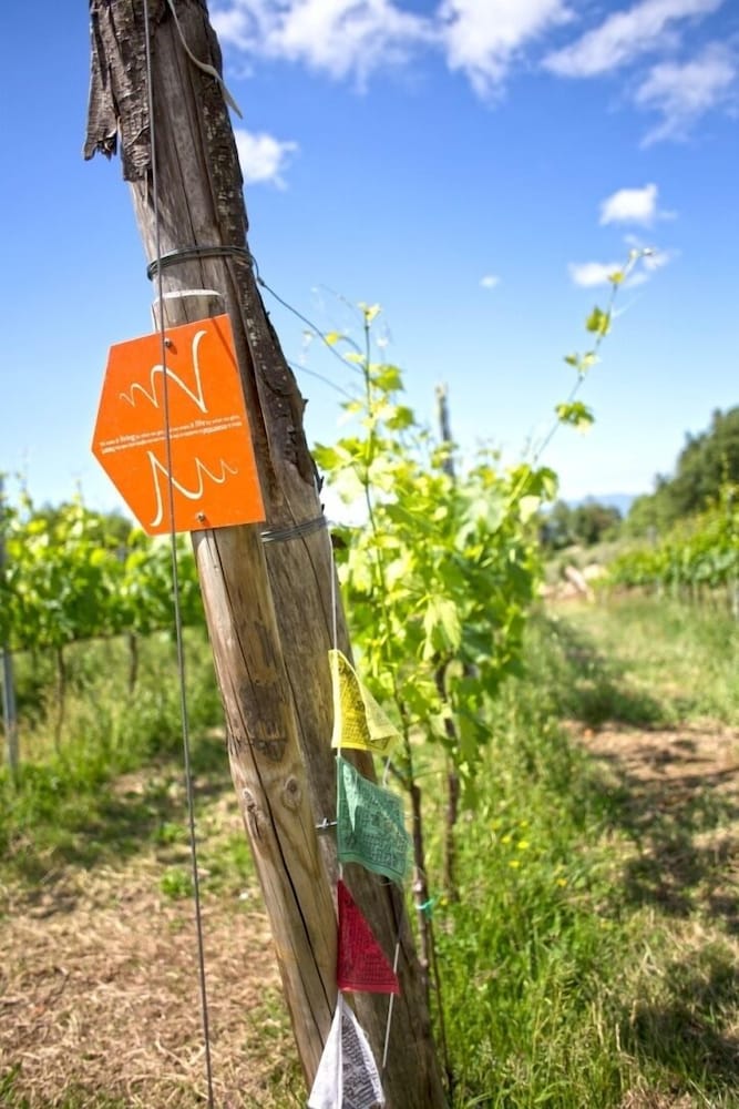 Valdonica Winery & Vineyard Residence 37/50