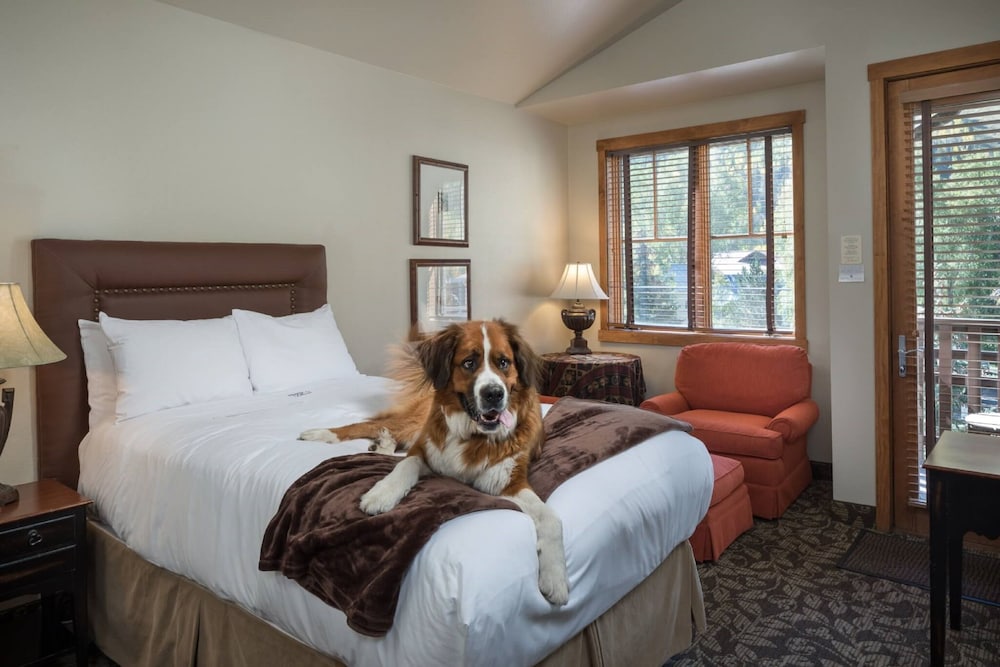 The Hotel Telluride 19/66