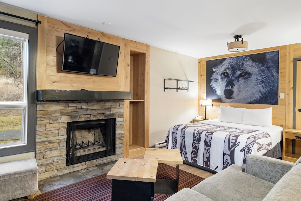 Condo, Superior, Studio, Queen Bed