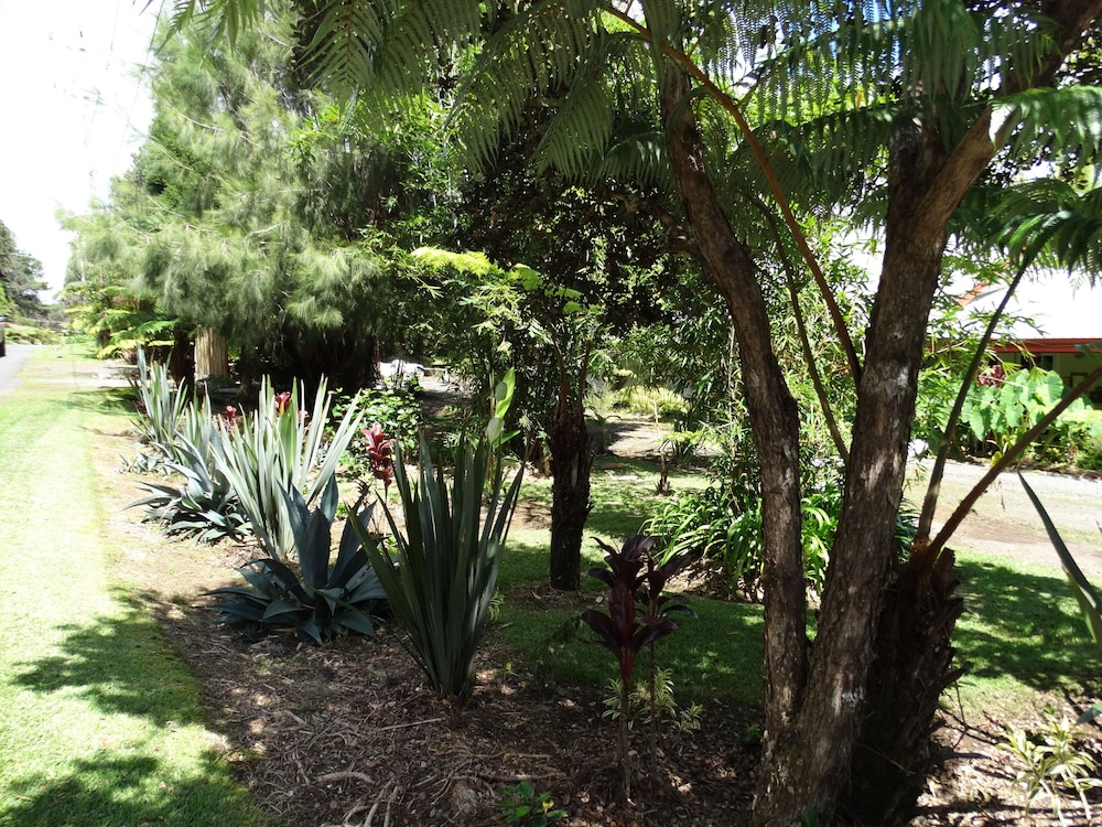 Lokahi Lodge 12/22