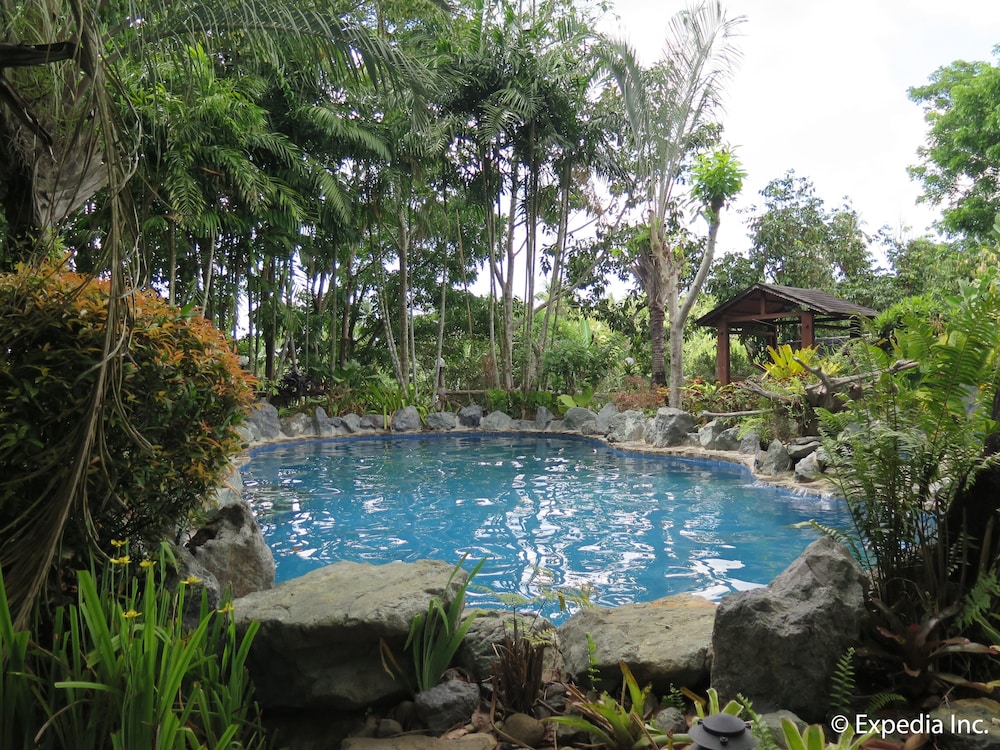 Cintai Corito S Garden 26/30