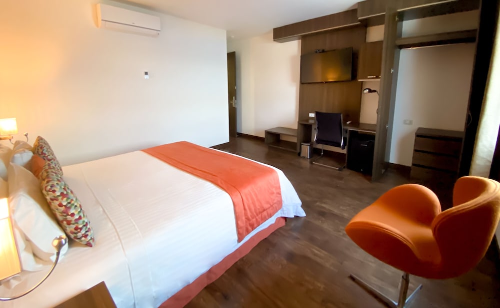 Hotel Royal Elim Internacional 19/50
