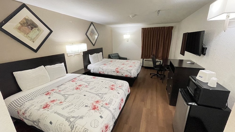 Comfort, Single, 2 King Beds, Sofa