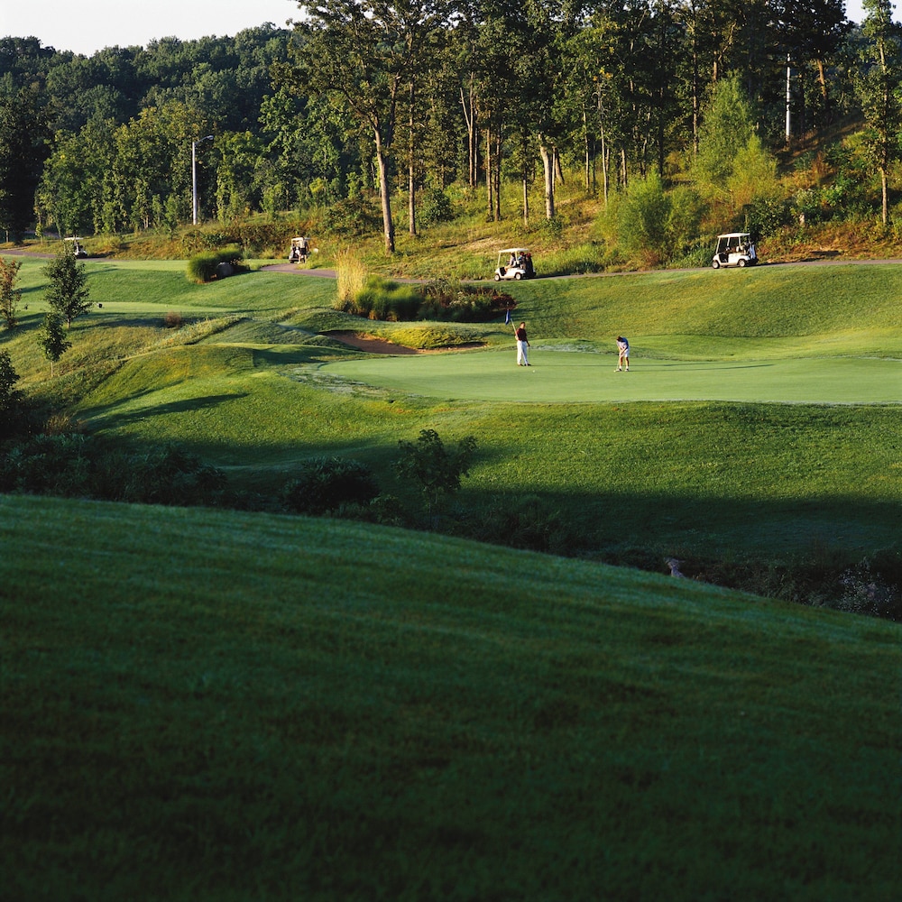 Club Wyndham Mountain Vista 58/62
