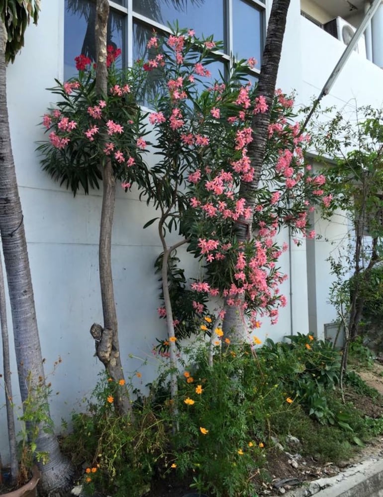 Ittipol Apartment 4/11
