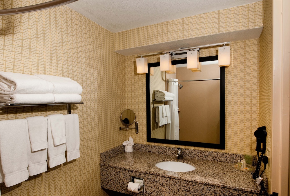 Holiday Inn St Louis Arpt West Earth City 40/76