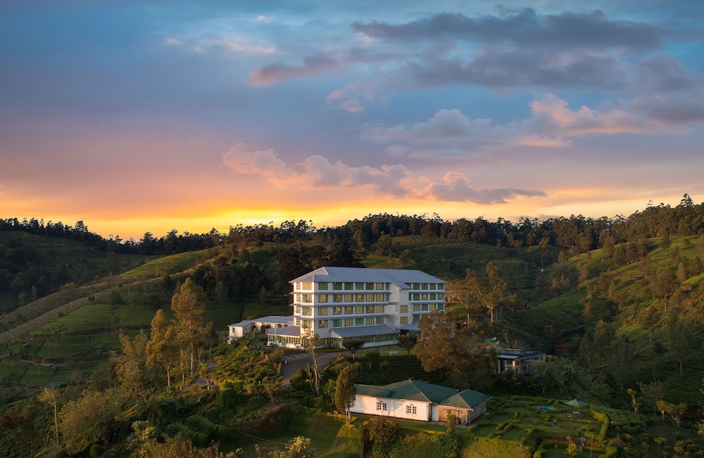 Heritance Tea Factory 2/50
