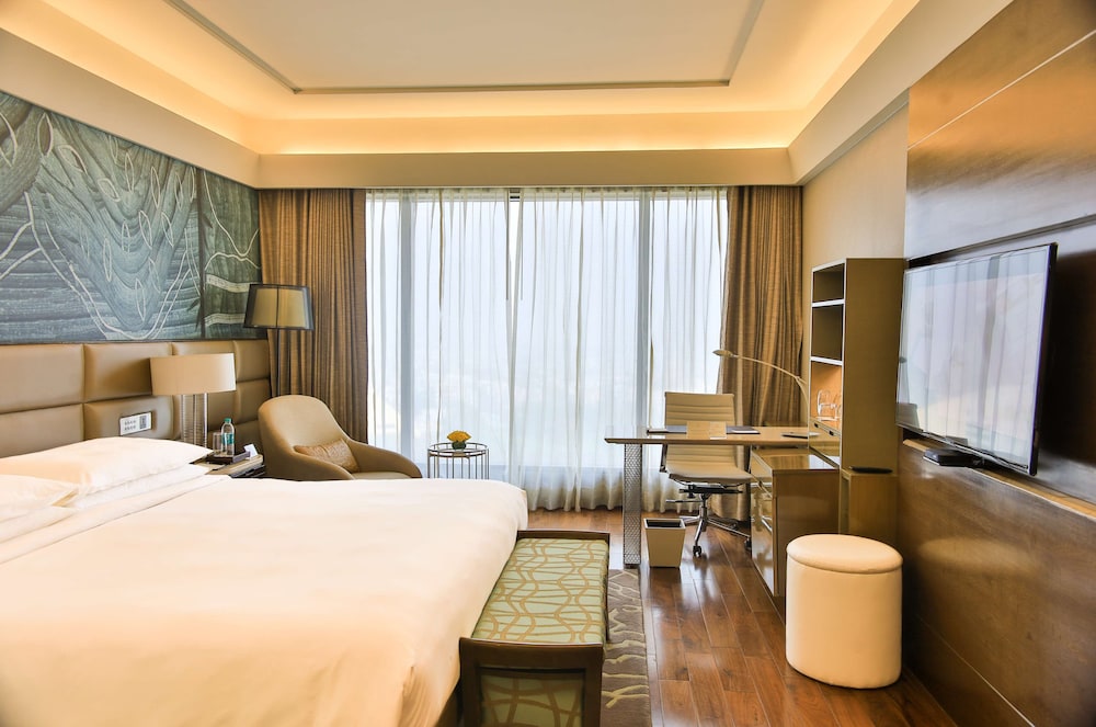 The Leela Ambience Convention Hotel Delhi 13/63