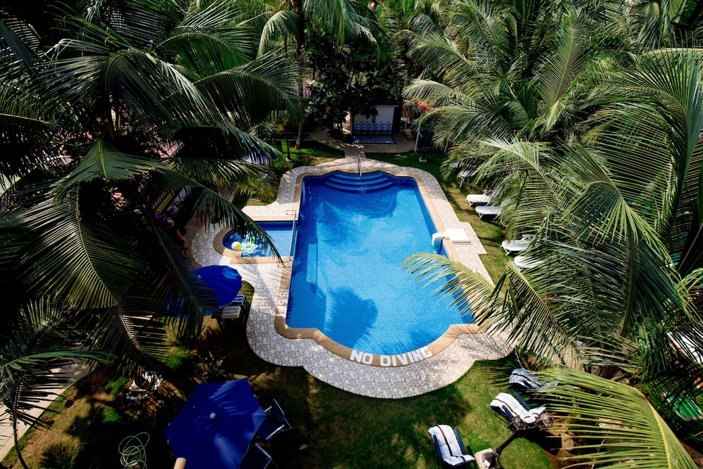 Resort Palmeiras Dourado 40/50