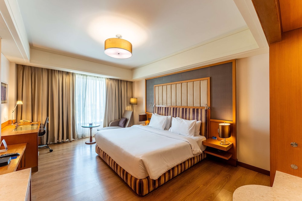 Radisson Blu Hotel Indore 18/50